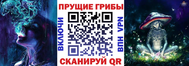 Псилоцибиновые грибы GOLDEN TEACHER даркнет сайт Ессентукская